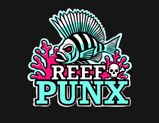 Reef Rebels: The Anarchist’s Guide to Starting a Saltwater Reef Tank