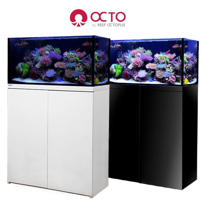 Aquariums & Sumps