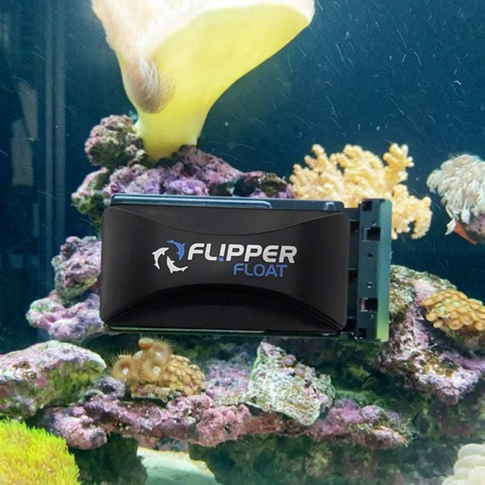 Flipper Cleaner Standard Float