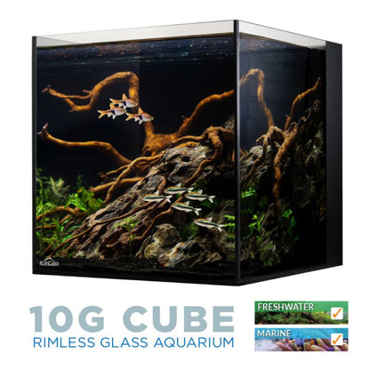 IceCap 10 Gallon Cube AIO Rimless Glass Aquarium