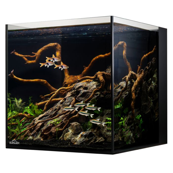 IceCap 10 Gallon Cube AIO Rimless Glass Aquarium