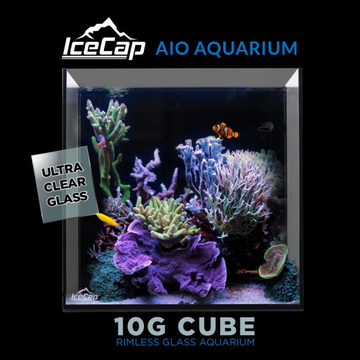 IceCap 10 Gallon Cube AIO Rimless Glass Aquarium