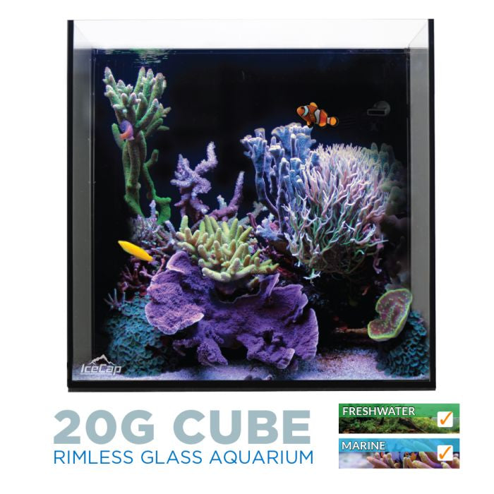 IceCap 20 Gallon Cube AIO Rimless Glass Aquarium