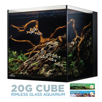 IceCap 20 Gallon Cube AIO Rimless Glass Aquarium